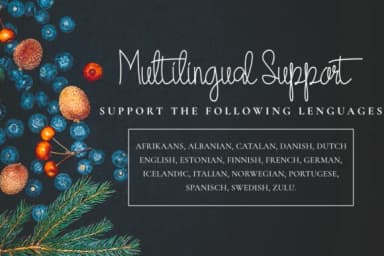 Quesky Font by CBRTEXT Studio — Script Handwritten Font — thumbnail 8