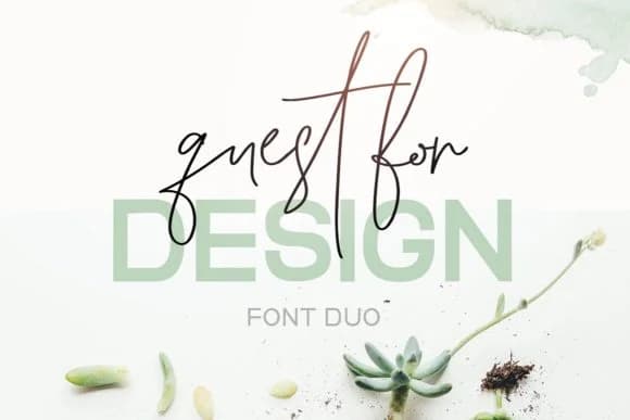Quest for Design Family Font by Creativeqube Design — Script Handwritten Font