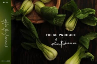 Quest for Design Family Font by Creativeqube Design — Script Handwritten Font — thumbnail 9