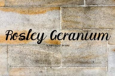 Quick Shinobi Font by Giant Template — Script Handwritten Font — thumbnail 2