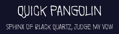 Quick Pangolin by Juha Korhonen — Script Handwritten Font — thumbnail 2