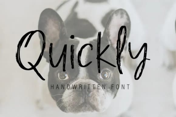 Quickly Font by Studio_Art by Studio_Art — Script Handwritten Font