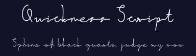 Quickness Script by Grafemars — Script Handwritten Font — thumbnail 2