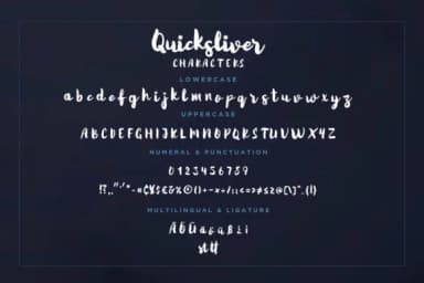 Quicksliver Font by CreatypeStudio — Script Handwritten Font — thumbnail 7