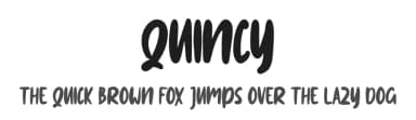 Quincy by Skiiller Studio — Script Handwritten Font — thumbnail 1