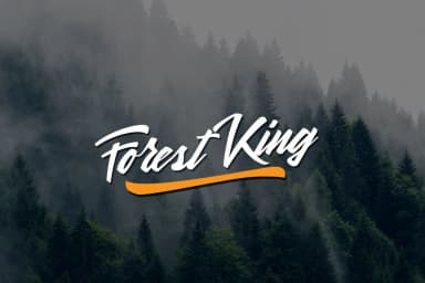 Quitman Font by craftsupplyco — Script Handwritten Font — thumbnail 5