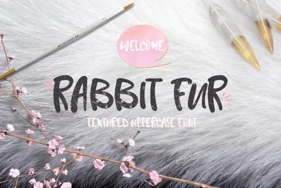 Rabbit Fur Font by Creativeqube Design — Script Handwritten Font