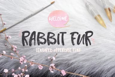 Rabbit Fur Font by Creativeqube Design — Script Handwritten Font — thumbnail 1