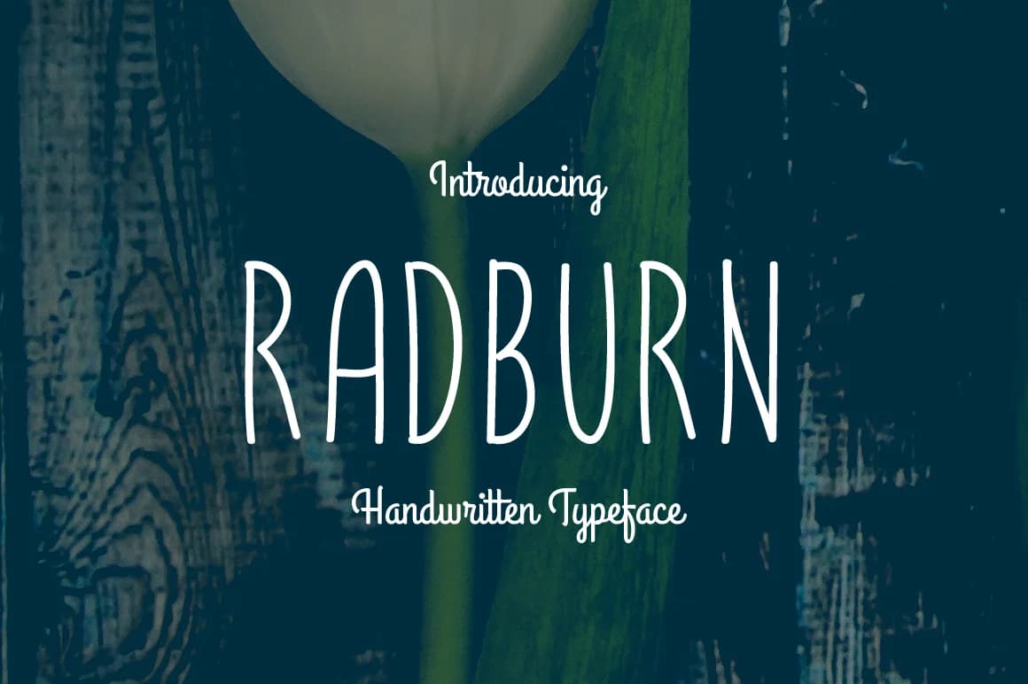 Radburn Font by Contour Fonts — Script Handwritten Font