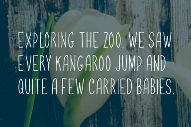 Radburn Font by Contour Fonts — Script Handwritten Font — thumbnail 2