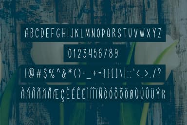 Radburn Font by Contour Fonts — Script Handwritten Font — thumbnail 4