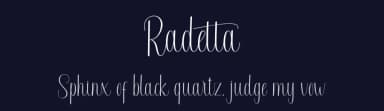 Radetta by Pollem Studio — Script Handwritten Font — thumbnail 2