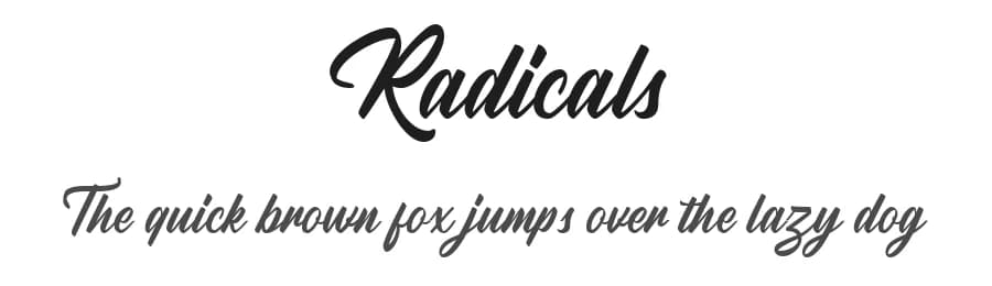 Radicals by Letterhend Studio — Script Handwritten Font
