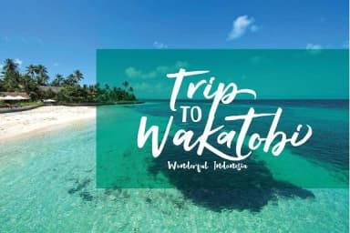 Raditya Font by Olexstudio — Script Handwritten Font — thumbnail 3