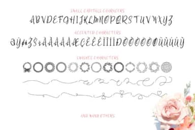 Raelynn Font by Arip Santoso — Script Handwritten Font — thumbnail 3