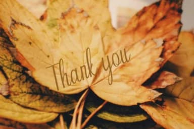 Raesand Font by parawtype — Script Handwritten Font — thumbnail 5