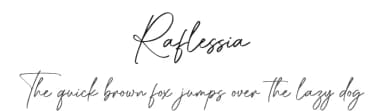 Raflessia by Bluestype Studio — Script Handwritten Font — thumbnail 1
