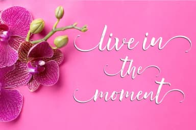 Raidemith Font by scoothtype — Script Handwritten Font — thumbnail 8