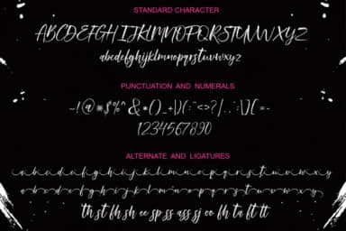 Raidemith Font by scoothtype — Script Handwritten Font — thumbnail 9