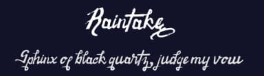 Raintake by SSI.Scraps — Script Handwritten Font — thumbnail 2