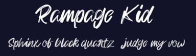 Rampage Kid by D&K Project — Script Handwritten Font — thumbnail 2