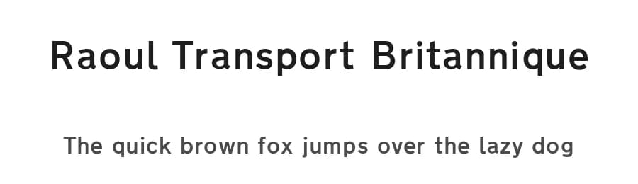 Raoul Transport Britannique by Raoul & Compagnie — Sans Serif Font
