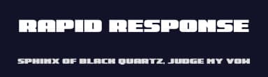 Rapid Response by Iconian Fonts — Sans Serif Font — thumbnail 2