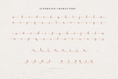 Rashida Font by Febri Creative — Script Handwritten Font — thumbnail 9