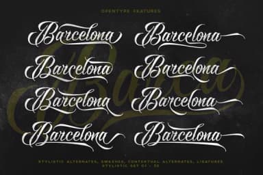 Raven Script Font by Mikrojihad Typefounder — Script Handwritten Font — thumbnail 3