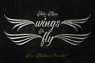 Raven Script Font by Mikrojihad Typefounder — Script Handwritten Font — thumbnail 6