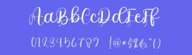 Rayloon by FreshtypeINK — Script Handwritten Font — thumbnail 3