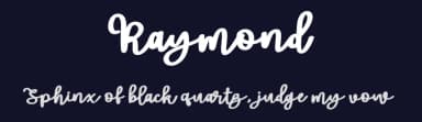 Raymond by Vunira Design — Script Handwritten Font — thumbnail 2