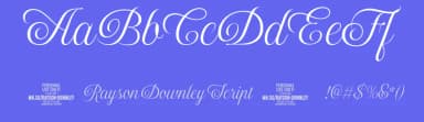 Rayson Downley Script by Måns Grebäck — Script Handwritten Font — thumbnail 3