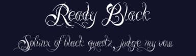 Ready Black by JSH creates — Script Handwritten Font — thumbnail 2
