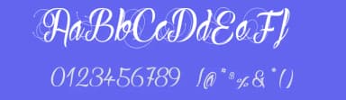 Ready to Ride by dcoxy - Greg Medina — Script Handwritten Font — thumbnail 3