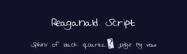 Reaganald Script by Xerographer Fonts — Script Handwritten Font — thumbnail 2