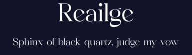 Reailge by Storytype Studio — Serif Font — thumbnail 2