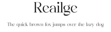 Reailge by Storytype Studio — Serif Font — thumbnail 1