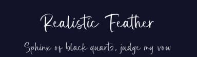 Realistic Feather by Balpirick Studio — Script Handwritten Font — thumbnail 2