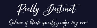 Really Distinct by Haksen Studio — Script Handwritten Font — thumbnail 2
