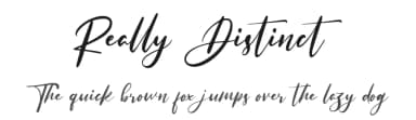 Really Distinct by Haksen Studio — Script Handwritten Font — thumbnail 1
