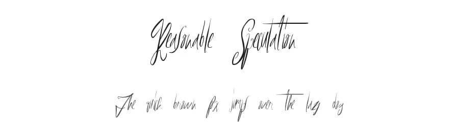 Reasonable Speculation by Xerographer Fonts — Script Handwritten Font