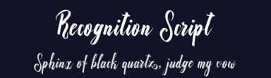 Recognition Script by Royaltype — Script Handwritten Font — thumbnail 2