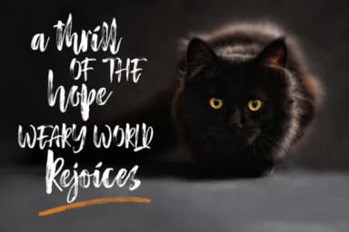 Red Blues Font by luckytype.font — Script Handwritten Font — thumbnail 4