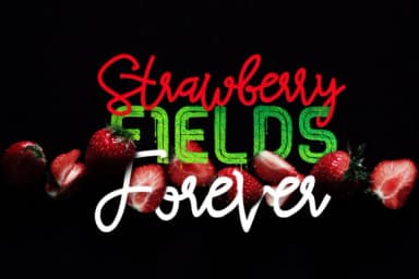 Red Peppers Font by diqtam — Script Handwritten Font — thumbnail 7