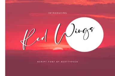 Red Wings Font by BennyDesigns — Script Handwritten Font — thumbnail 1