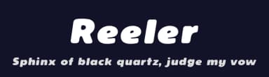 Reeler by Måns Grebäck — Sans Serif Font — thumbnail 2
