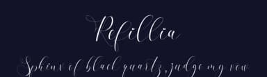 Refillia by aldedesign — Script Handwritten Font — thumbnail 2