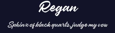 Regan by Colative Studio — Script Handwritten Font — thumbnail 2