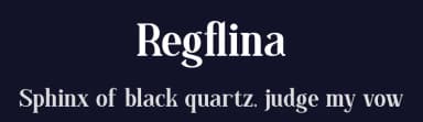 Regflina by Letterena Studios — Serif Font — thumbnail 2